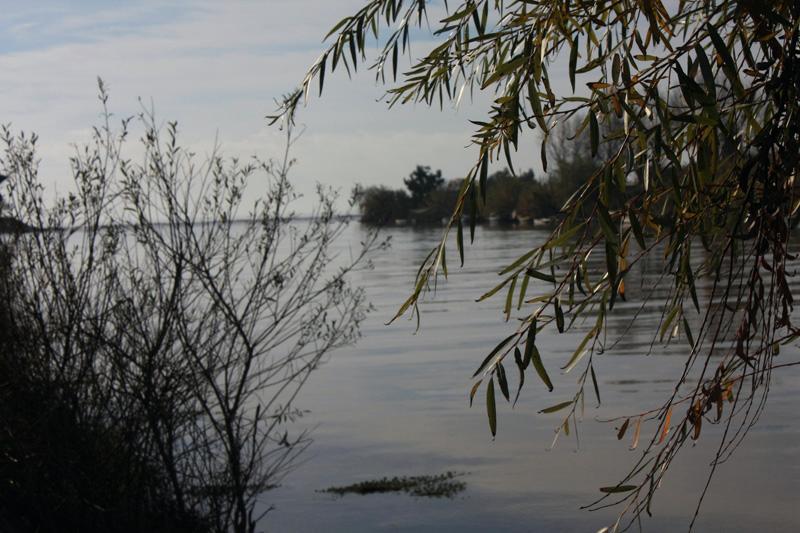 15-Minturno,2 dicembre 2009.jpg